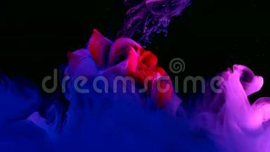 美丽的红玫瑰在一个奇妙的<strong>背景</strong>。 蓝色<strong>水彩墨水</strong>在<strong>水</strong>中的黑色<strong>背景</strong>上。